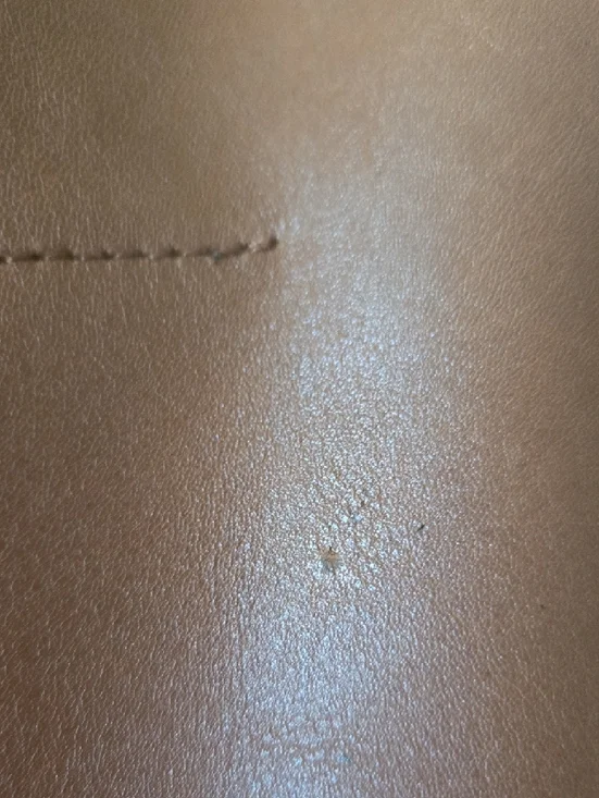 Madewell-The Essential Bucket Tote - Picture 11 of 16